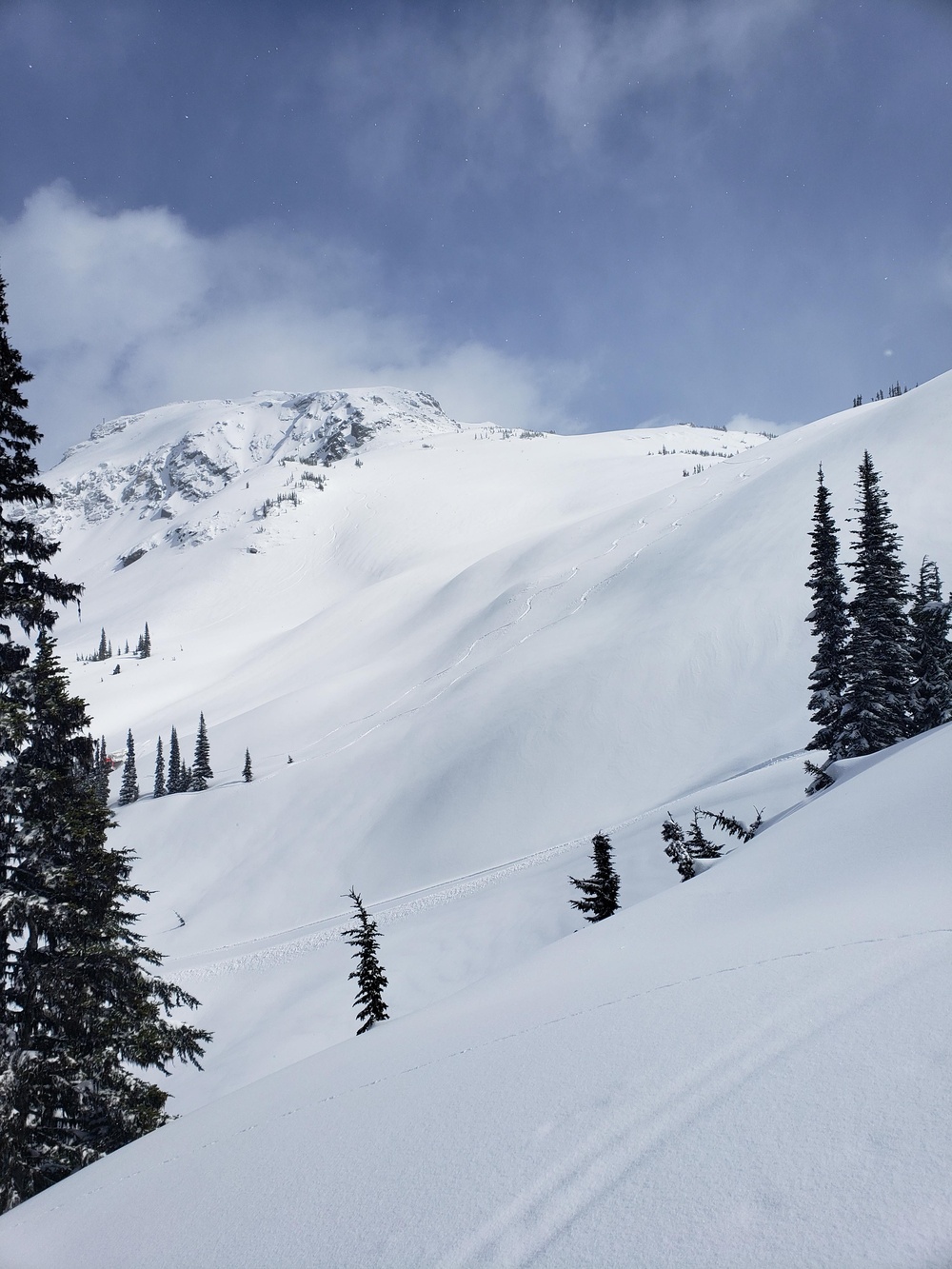 a view of Whistler Mountain with fresh powder