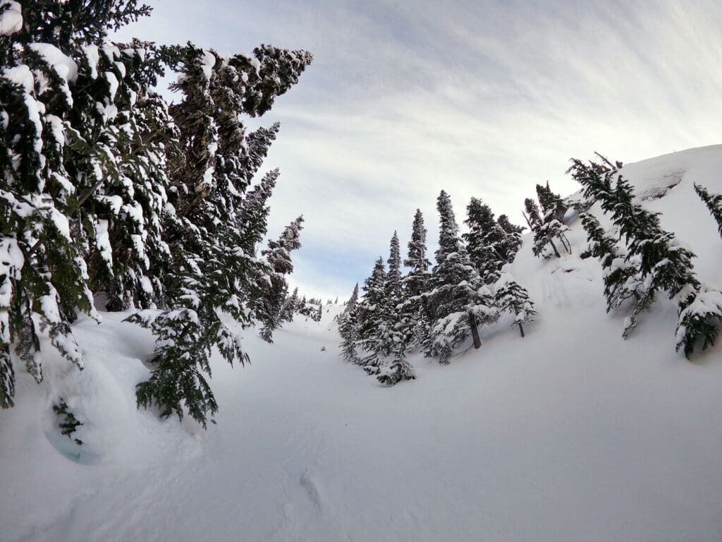 looking up at a chute while splitboarding in the coast mountains backcountry, british columbia