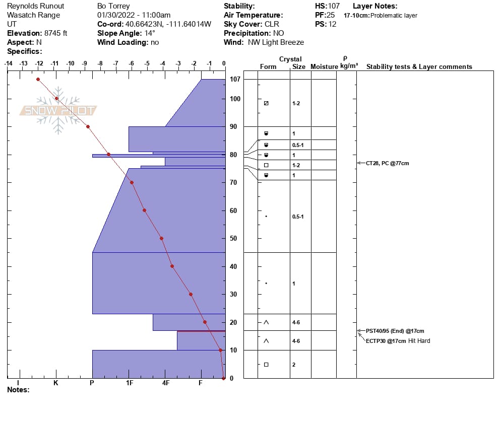 a detailed snow profile readout with snowpack data, including temperature