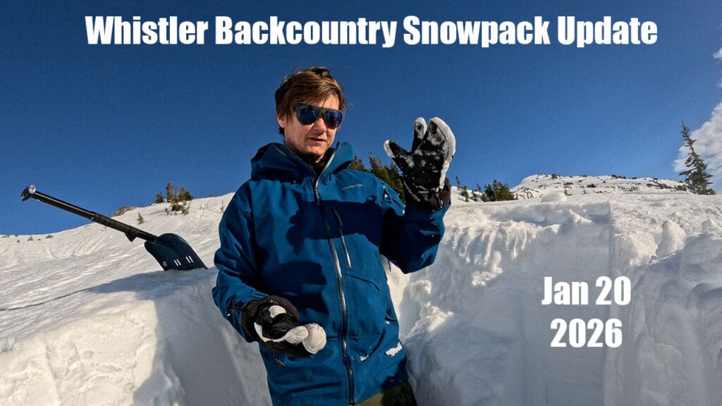 a snow science researcher stands in a snowpack study pit