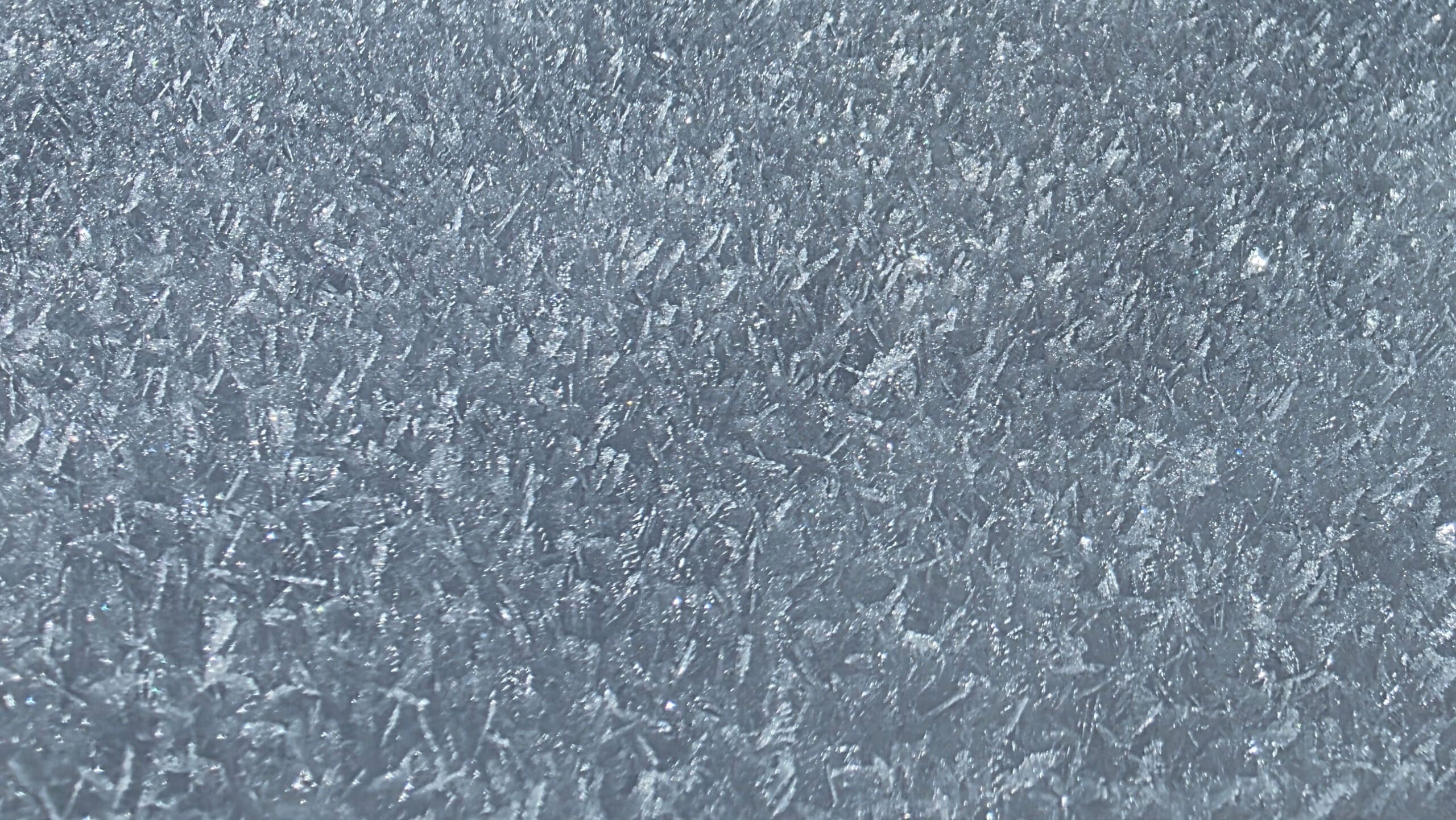 Avalanche Glossary: Surface Hoar