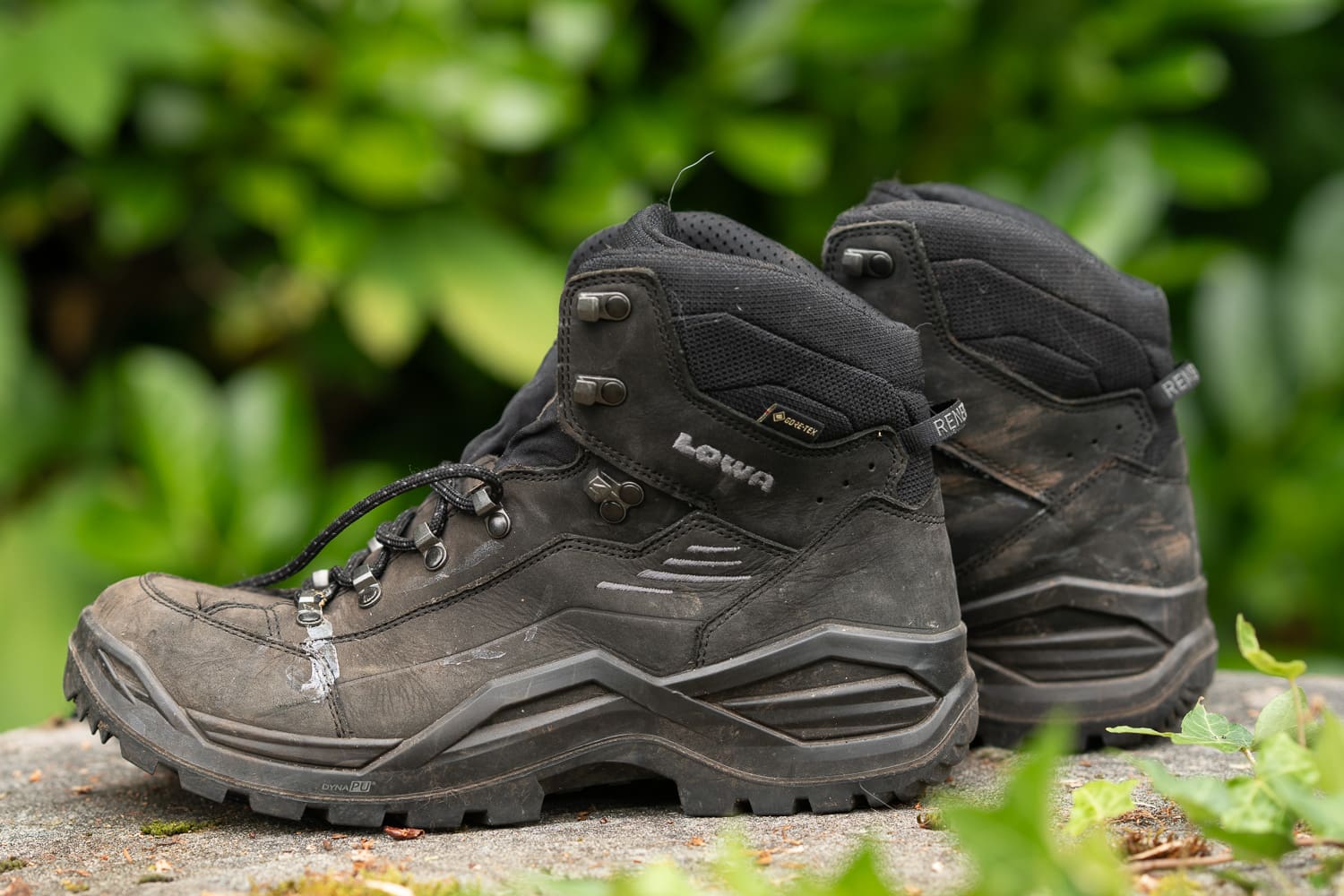 The Lowa Renegade Evo GTX hiking boot styled for a glamour shot