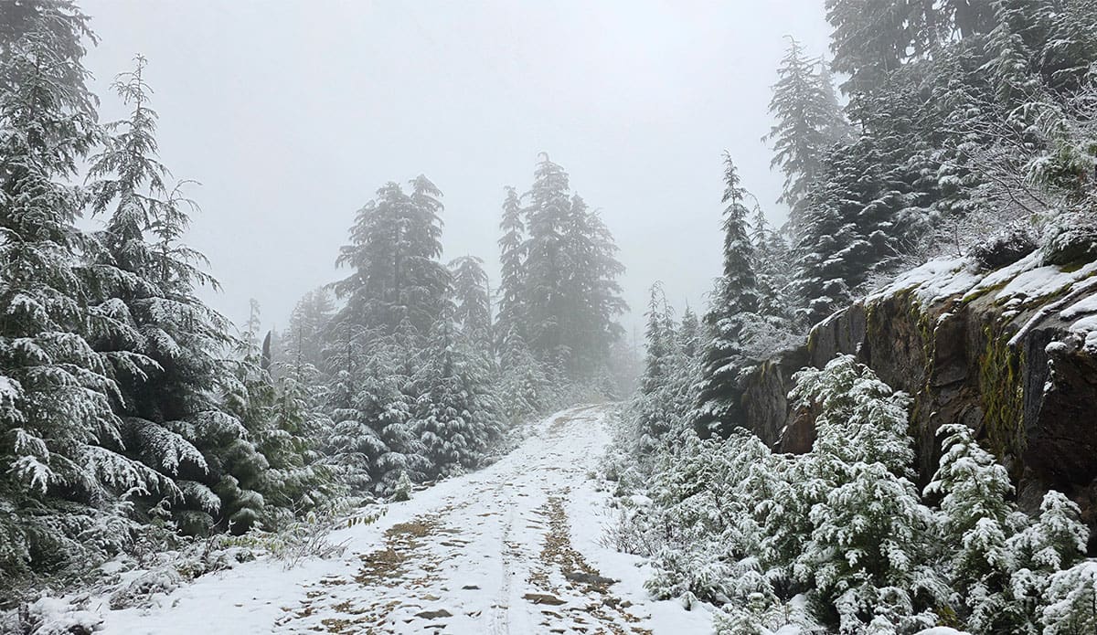 Early-Season Snow in BC: A Persistent Weak Layer Warning